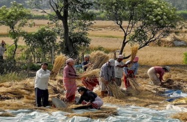 trekking nepal tharus gurungs