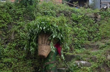 randonnée solidaire au nepal