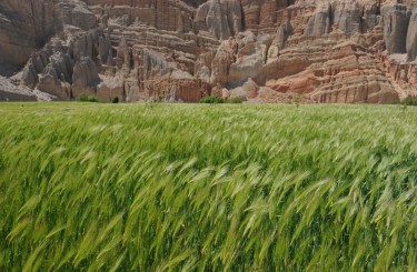 Randonnée dans le Haut Mustang